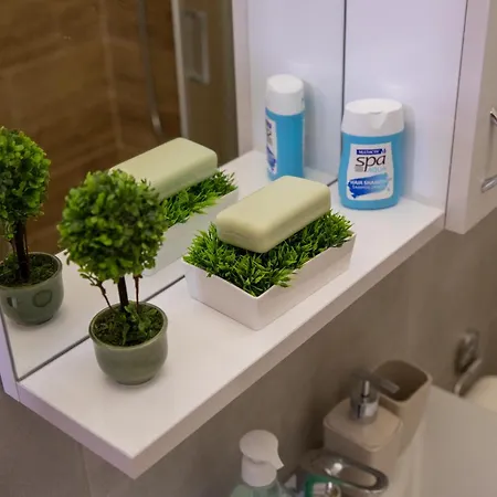 Apartment Garden & Parking Kraljevo